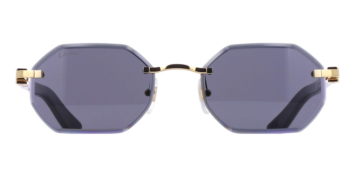 Cartier Buffalo Horn CT0439S 002 7KK Sunglasses