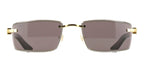 Cartier Buffalo Horn CT0582S 001 7G9 Sunglasses