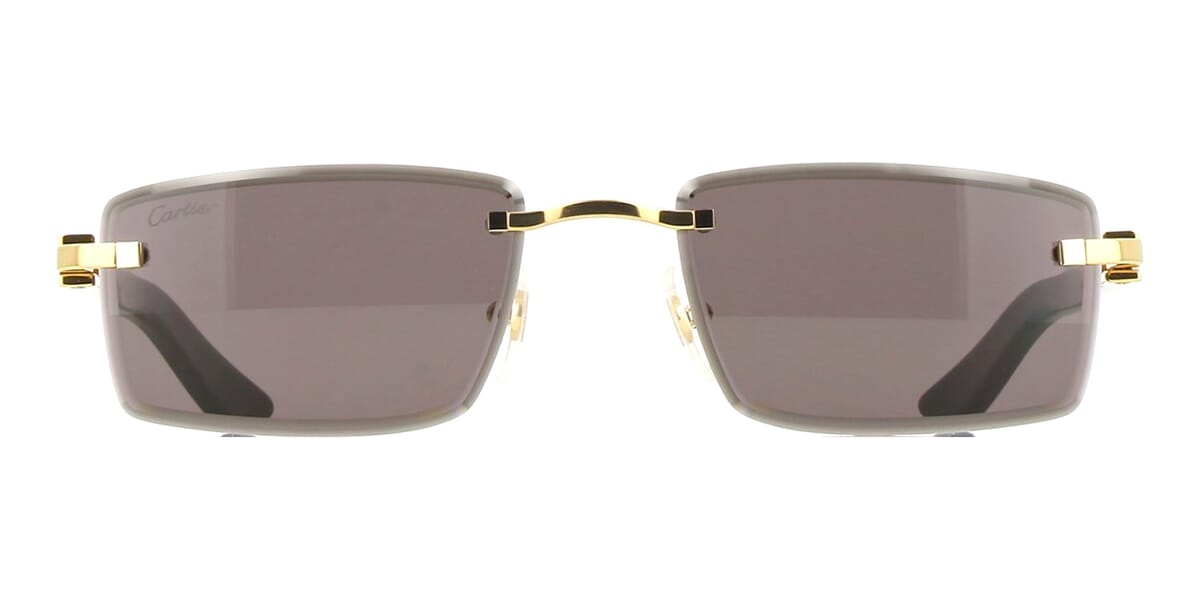 Cartier Buffalo Horn CT0582S 001 7G9 Sunglasses