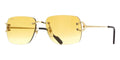 Cartier C Decor CT0330S 003 Sunglasses