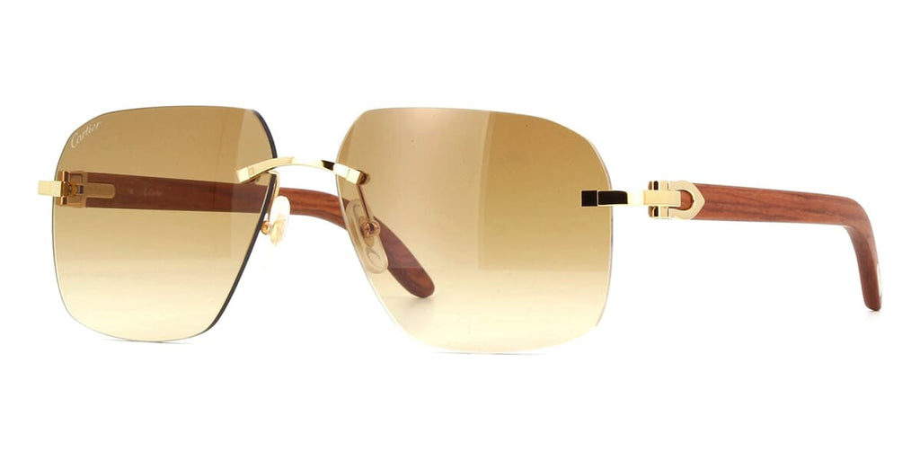 Cartier CT0041RS 001 Sunglasses