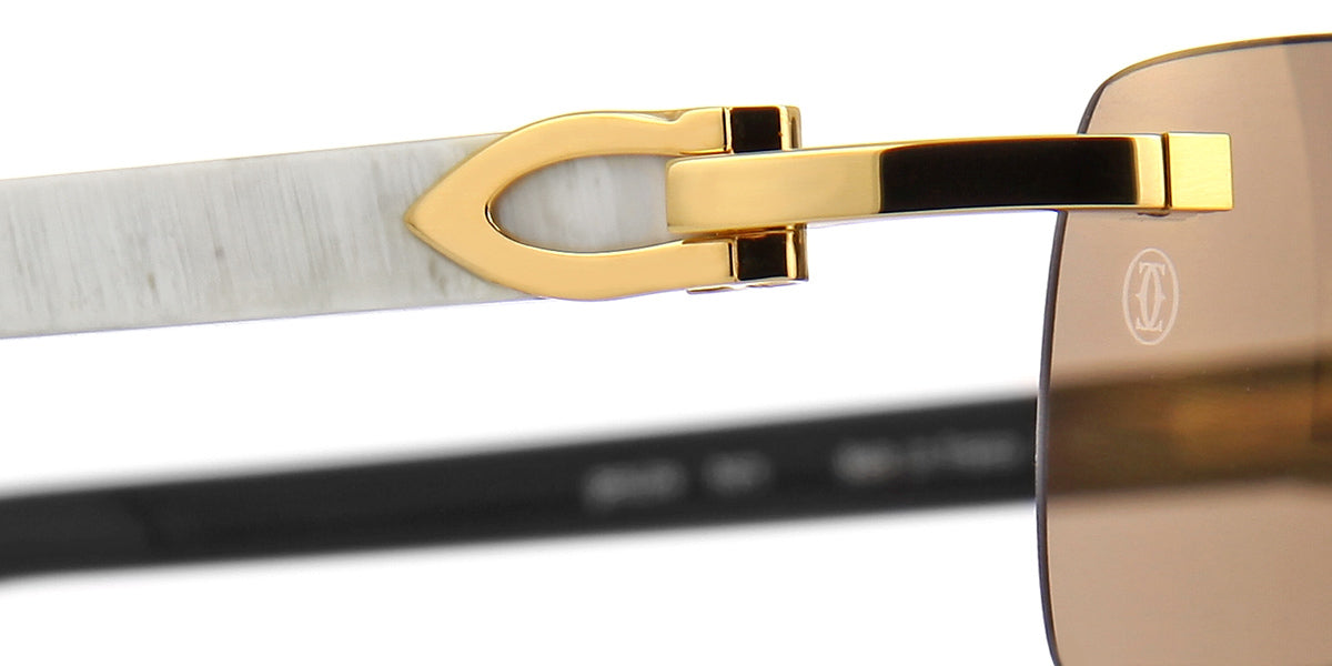 Cartier Buffalo Horn CT0046S 004 5LF