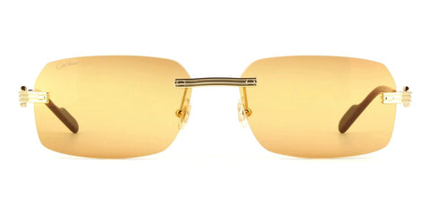 Cartier CT0271S 007 Sunglasses