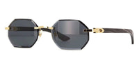 Cartier Buffalo Horn CT0439S 001 8C2 - As Seen On Jeezy