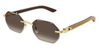 Cartier CT0439S 006