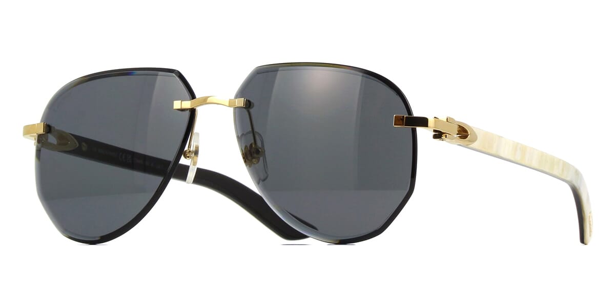 Cartier CT0440S 002 Sunglasses Pretavoir