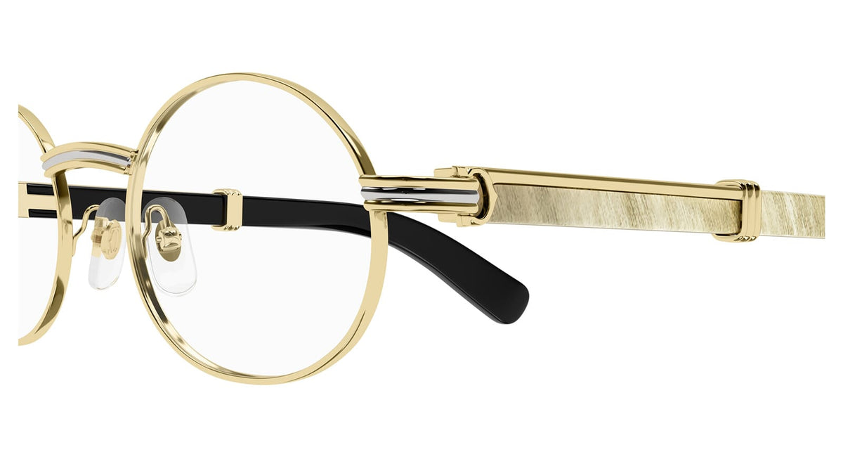 Cartier CT0464O 002