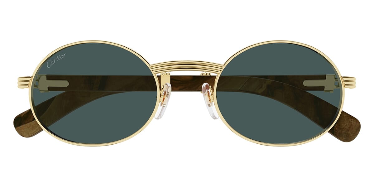 Cartier CT0464S 010