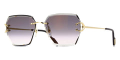 Cartier CT0466S 001
