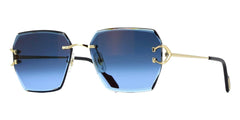 Cartier CT0466S 002