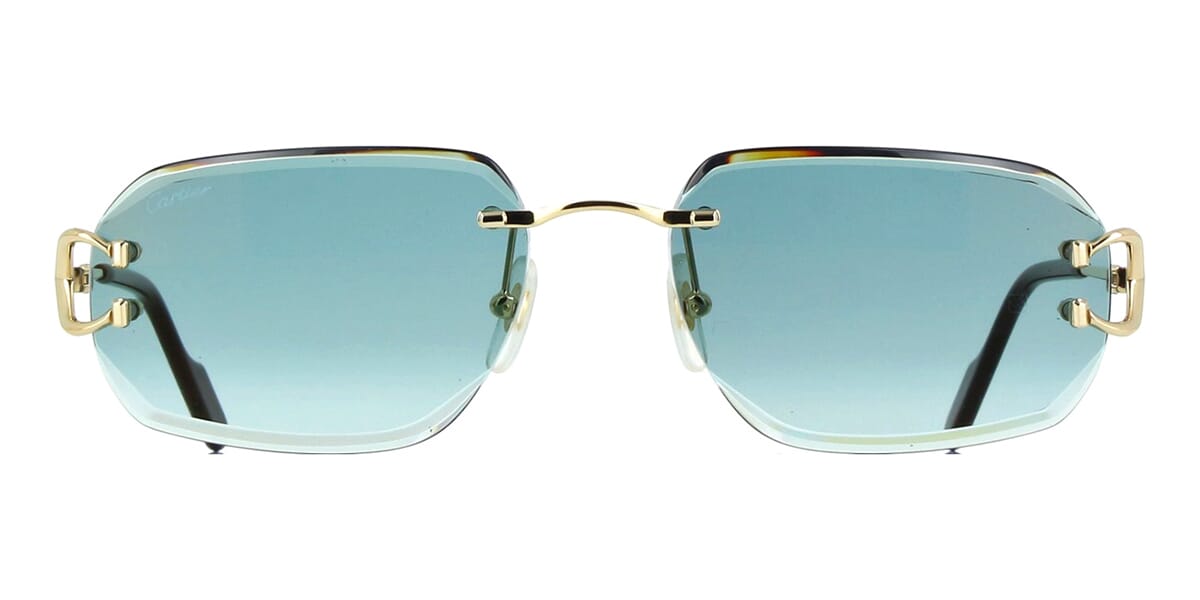 Cartier CT0468S 003 Sunglasses