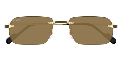 Cartier CT0498S 005 Sunglasses