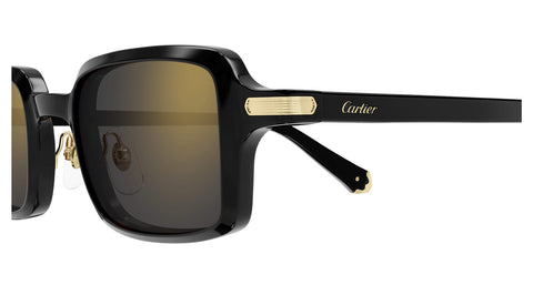 Cartier CT0539S 001