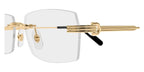 Cartier CT0578O 001 Glasses