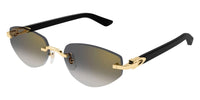 Cartier CT0580S 001 - As Seen On Dominic Sessa