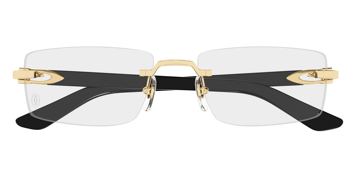 Cartier CT0581O 001 Glasses