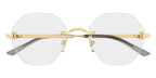 Cartier CT0593O 001 Glasses