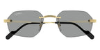 Cartier CT0616S 004 Sunglasses