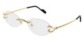 Cartier CT0621O 001 Glasses