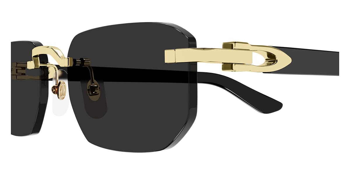 Cartier CT0622S 001 Sunglasses - Pretavoir