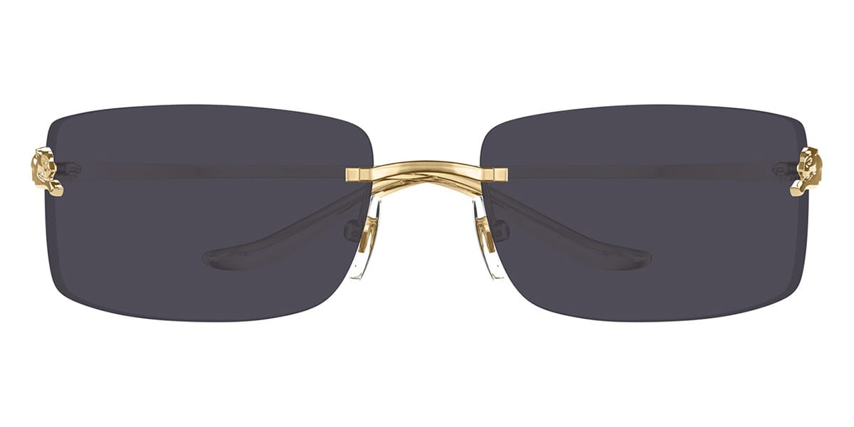 Cartier Panthere CT0503S 001 Sunglasses