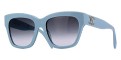 Celine Triomphe CL40253I 84B