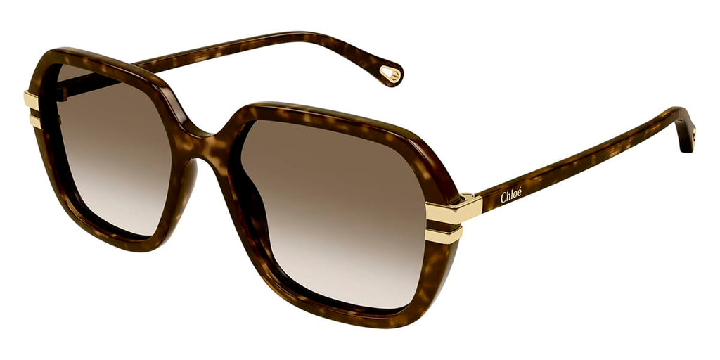 Chloe CH0204S 002 Sunglasses