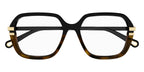 Chloe CH0205O 003 Glasses