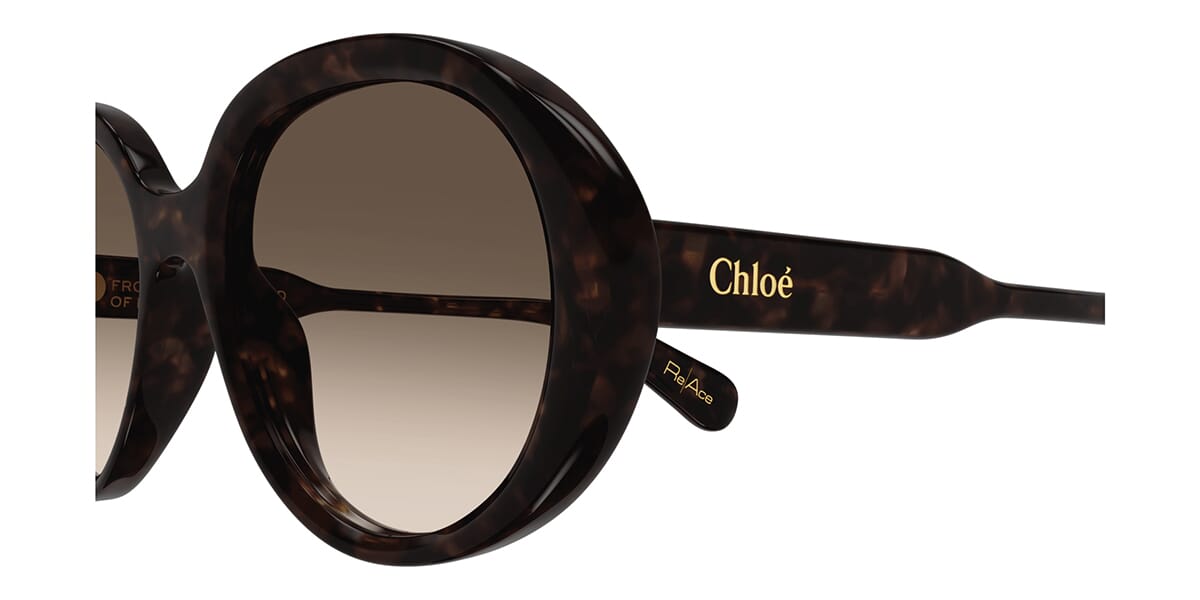 Chloe CH0221S 002 Sunglasses