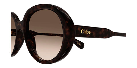 Chloe CH0221S 002 Sunglasses