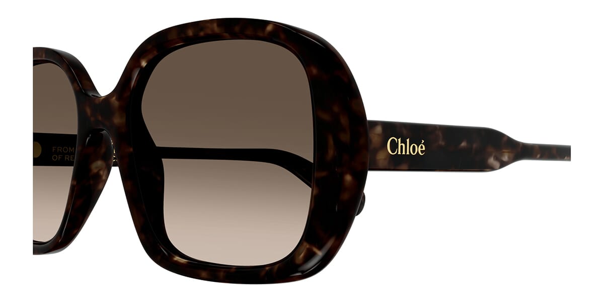 Chloe CH0222S 002 Sunglasses