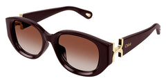 Chloe CH0237SK 003