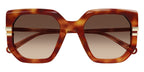 Chloe CH0240S 007 Sunglasses