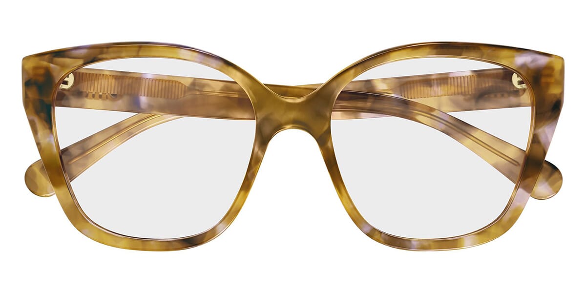 Chloe CH0241O 006 Glasses