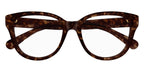 Chloe CH0243O 002 Glasses