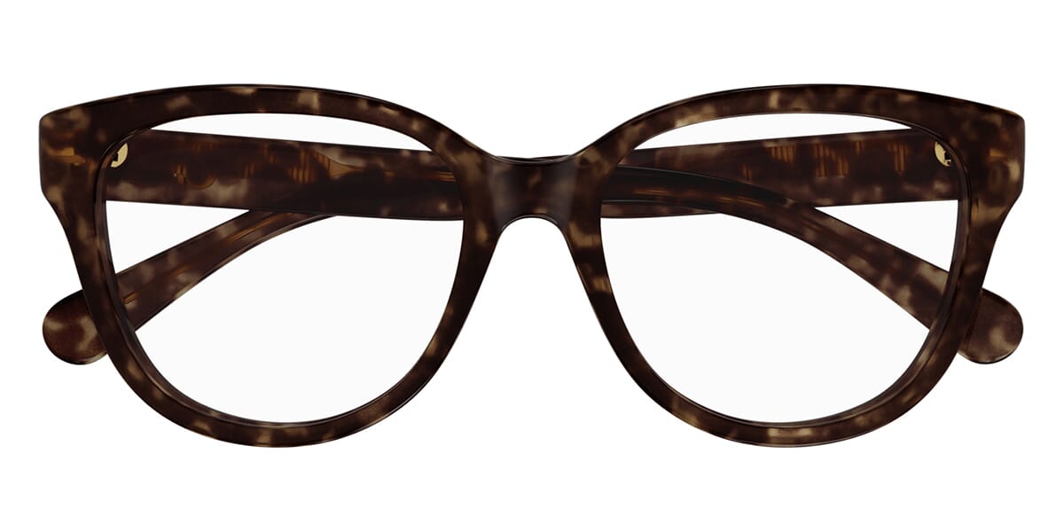 Chloe CH0243O 002 Glasses