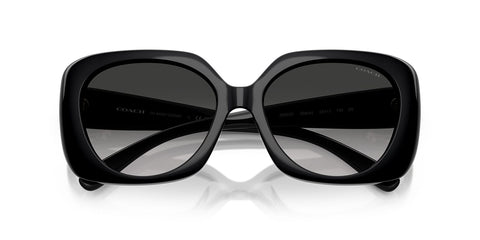 Coach Cad33 HC8422U 5002/3C Sunglasses