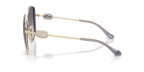 Coach Cad73 HC7176B 9005/36 Sunglasses