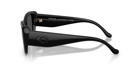 Coach CBY82 HC8435U 5002/87 Sunglasses