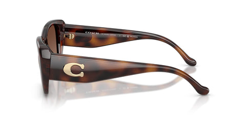 Coach CBY82 HC8435U 5120/T5 Polarised Sunglasses