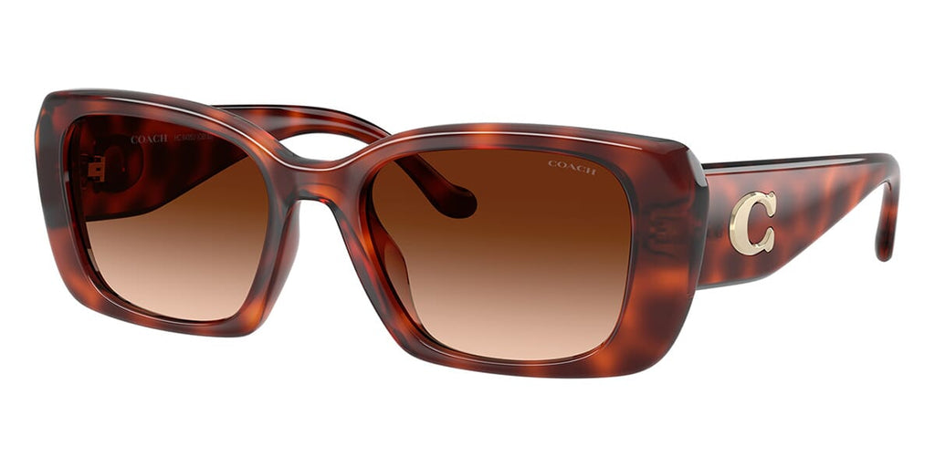 Coach CBY82 HC8435U 5774/74 Sunglasses