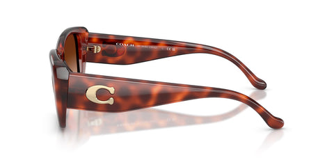 Coach CBY82 HC8435U 5774/74 Sunglasses