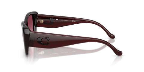 Coach CBY82 HC8435U 5915/8H Sunglasses