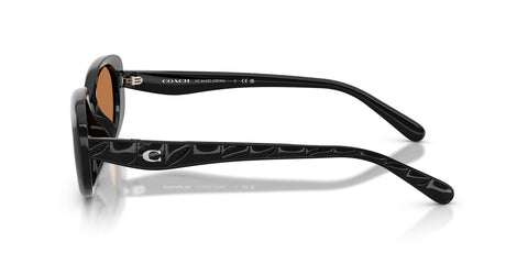 Coach CBY84 HC8443D 5002/73 Sunglasses