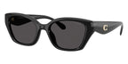 Coach CBY91 HC8434U 5002/87 Sunglasses