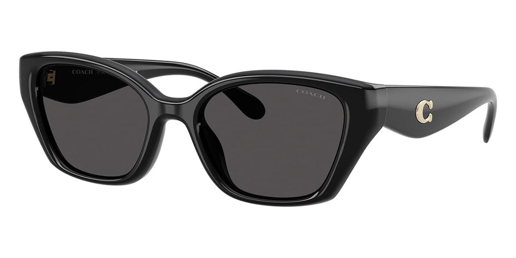 Coach CBY91 HC8434U 5002/87 Sunglasses