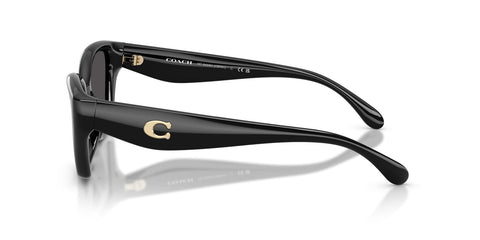 Coach CBY91 HC8434U 5002/87 Sunglasses