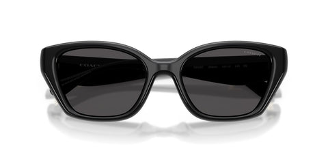 Coach CBY91 HC8434U 5002/87 Sunglasses