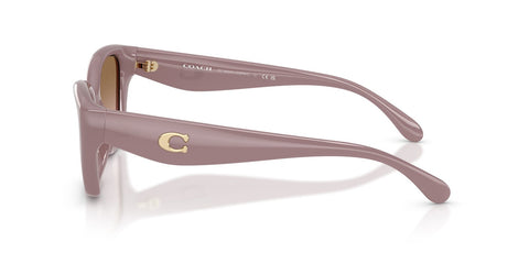 Coach CBY91 HC8434U 5495/11 Sunglasses
