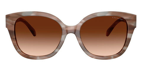 Coach CBY94 HC8438U 5901/74 Sunglasses